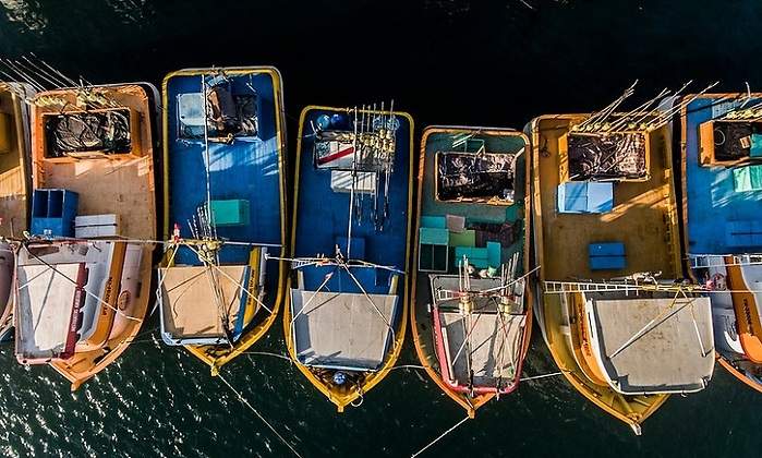PNIPA DESTINÓ S/73 MILLONES PARA PROMOVER LA INNOVACIÓN EN PESCA Y ACUICULTURA