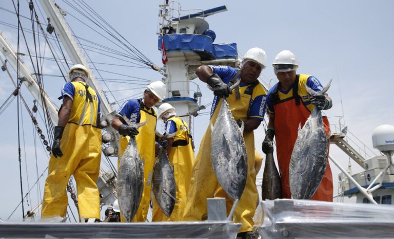 EXPORTACIONES DE ATÚN CAERÍAN 50% ESTE AÑO POR NORMATIVA DE LA SUNAT